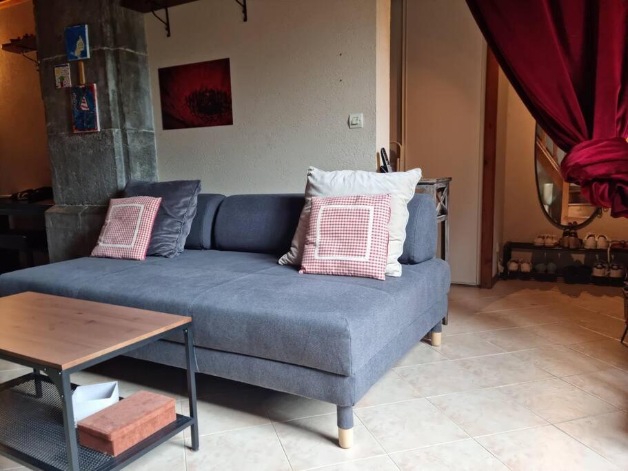 Chateau D'Uriage - Duplex Avec Terrasse Privative Saint-Martin-d'Uriage Ngoại thất bức ảnh